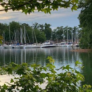 Meet your Posher, Johnny